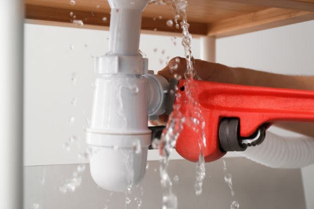 What Plumbing Services Do Most Homes Need Every Year?